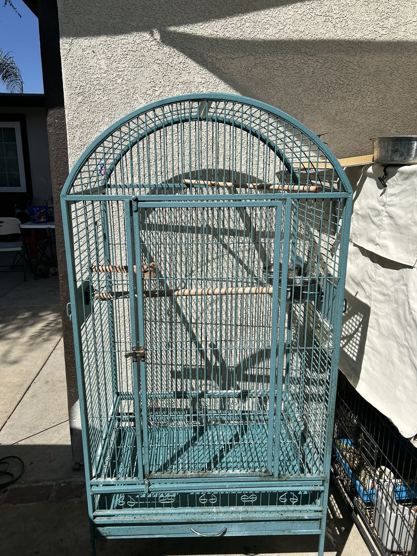 Bird Cage 