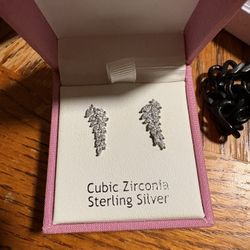 Brand New Earrings 