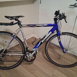 Schwin Aluminum Frame