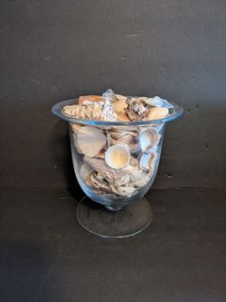 Glass Pedestal Vase with Seashell Collection