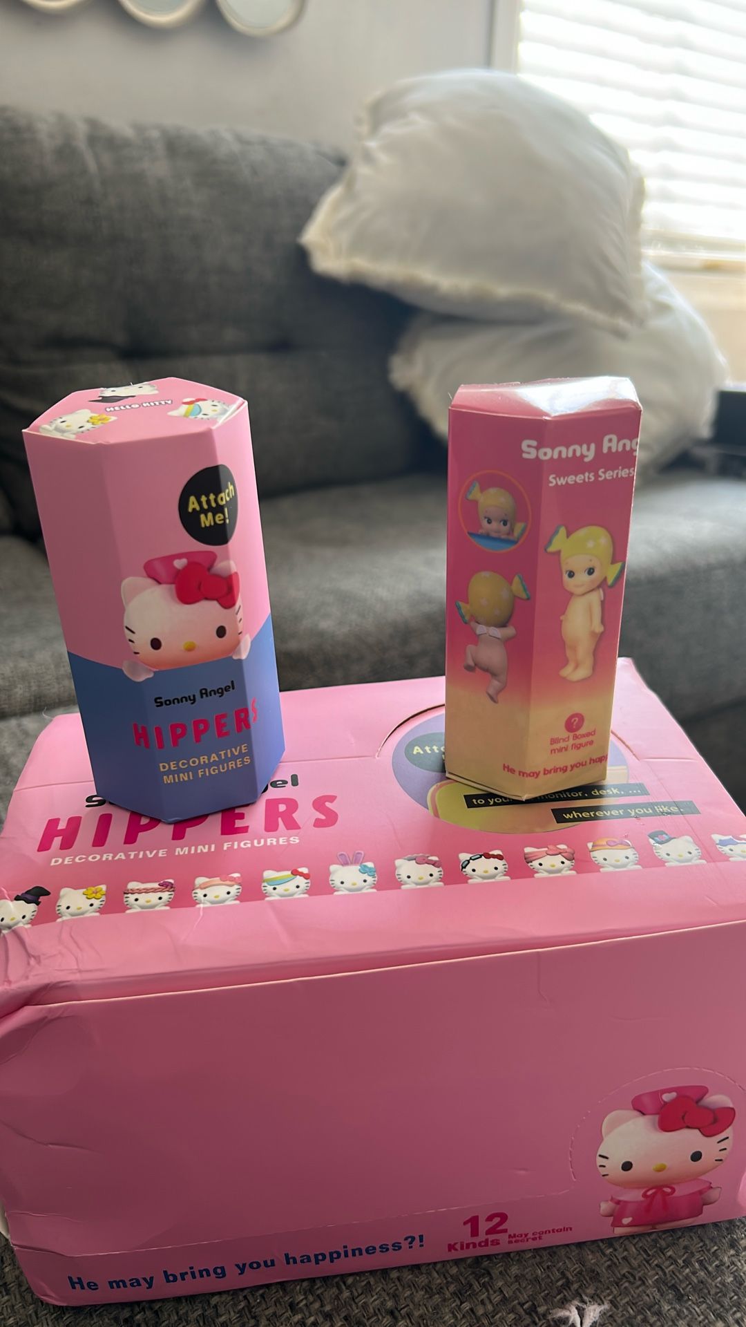 Sonny Angel Hippers