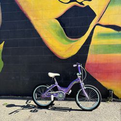  Girls purple Schwinn Bike