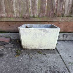 Cement Planter 