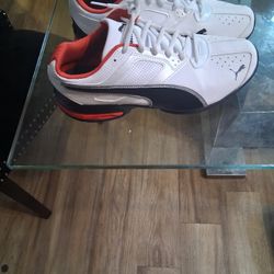 Pumas 