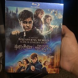 Harry Potter X Fantastic Beasts DVD