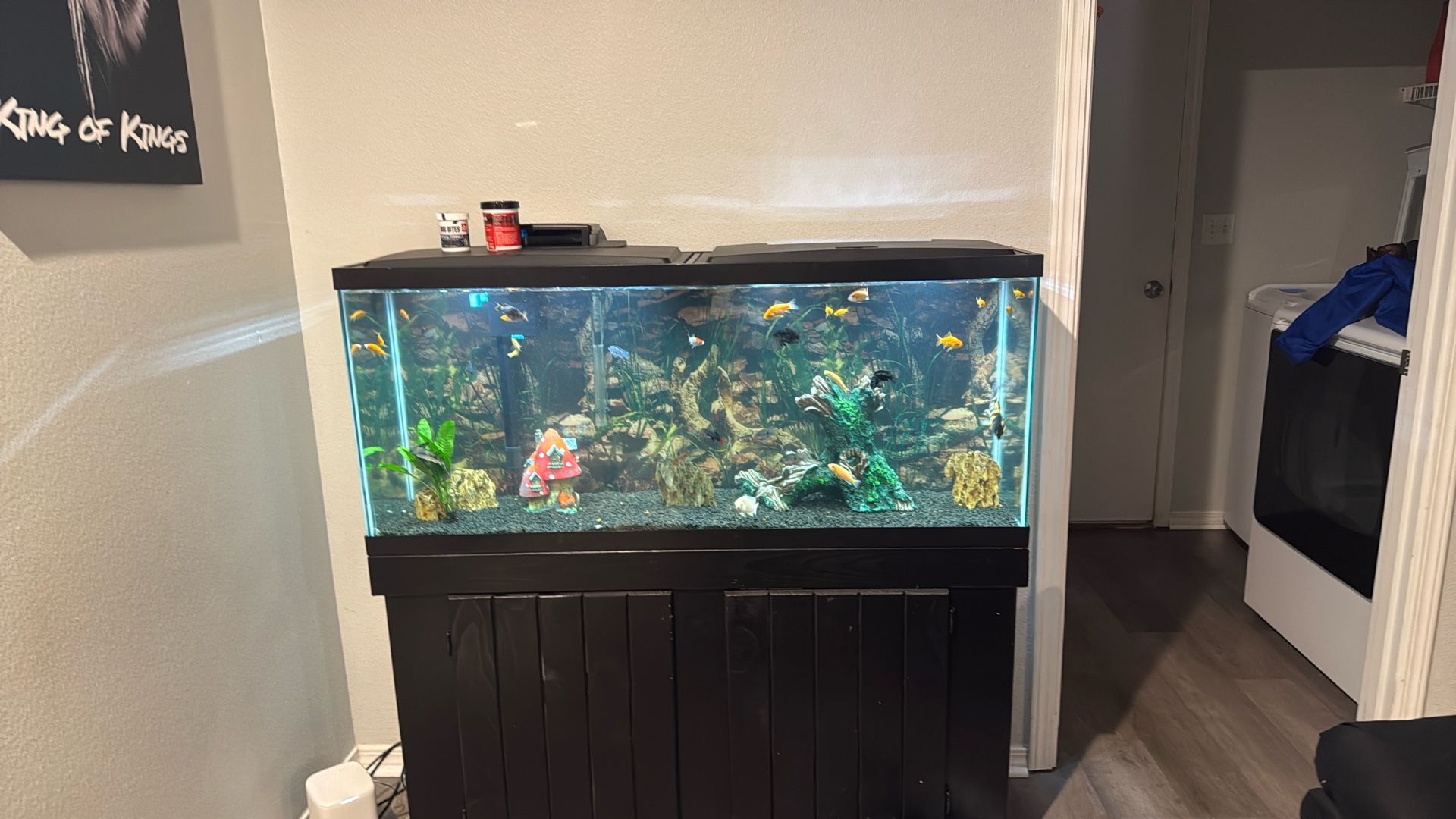 Beautiful Fish Tank 45 Gallon