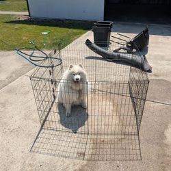 Dog Exercise Pen/Playpen/Kennel 