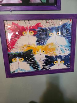 Cat picture