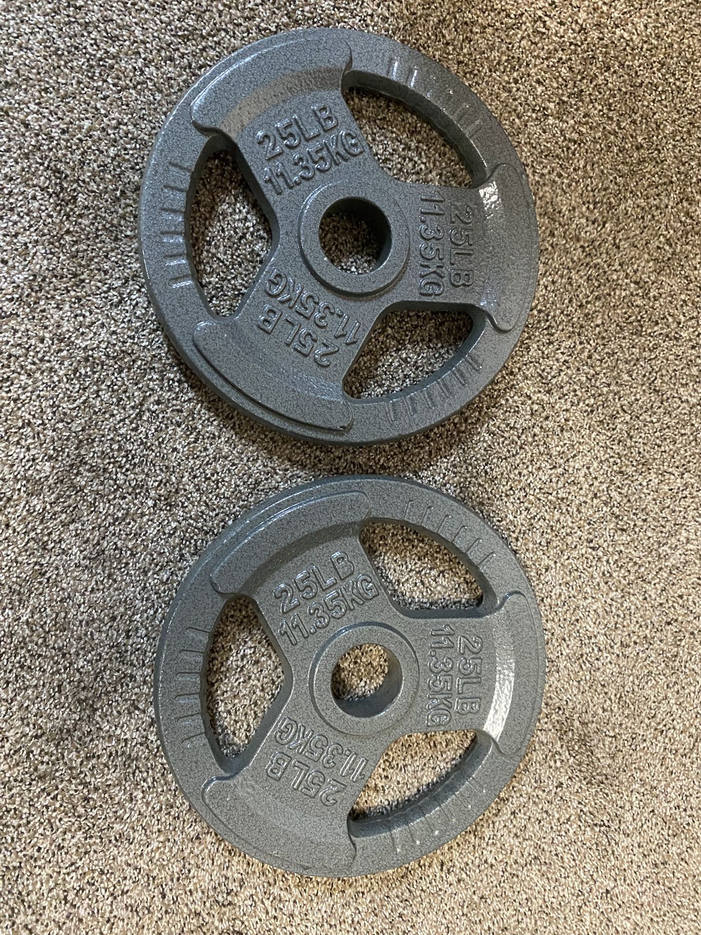 2-25lb. Cast Iron Olympic Weight Plates 