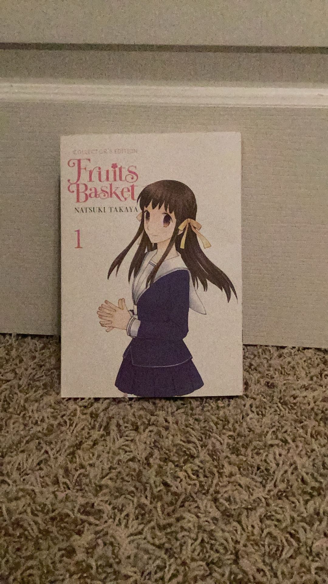 Fruits Basket (vol.1)