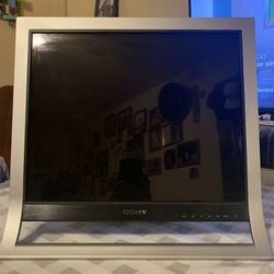 Sony Screen (LCD Monitor)
