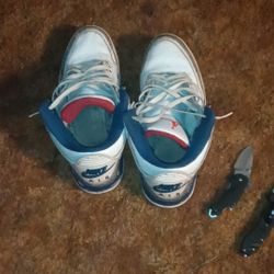 Retro Jordan 3s 
