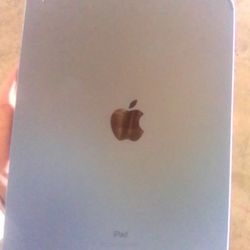 iPad 