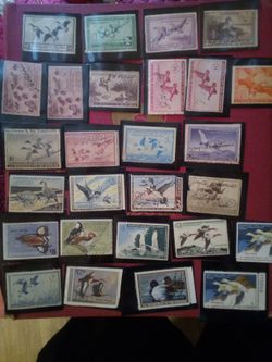Rare Duck Stamps 