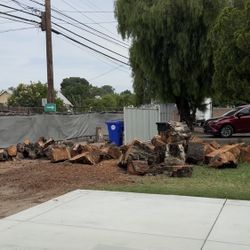 Gratis, madera de Pirul