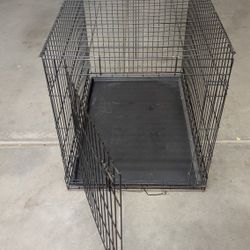 Dog crate 28x42x31T
