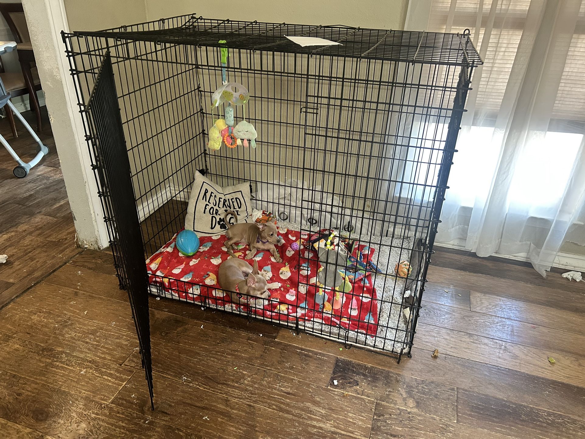 XXL 54 X 37 X Black Wire Metal Double Door Kennel