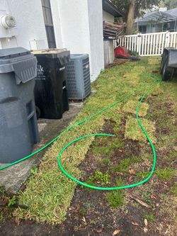 St. Augustine Sod