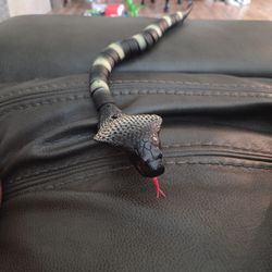 Snake Kids Toy