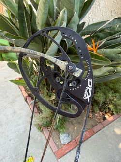 Hoyt Turbo Compound Bow