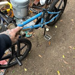 Diamondback Team Issue 2 0 Inch Bike