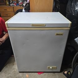 Magic Chef Freezer 
