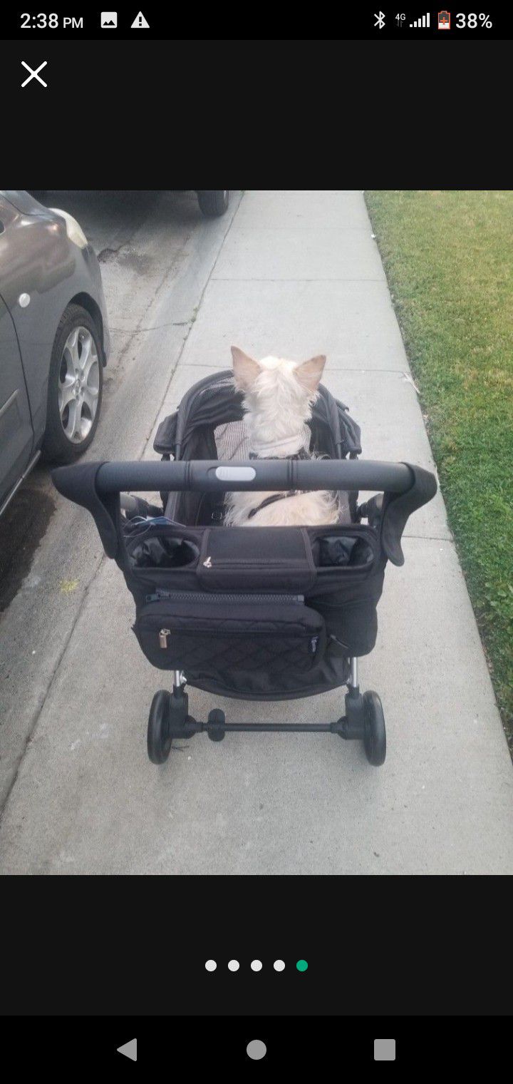 Dog Stroller