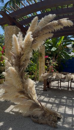 Wedding Arch- Beautiful Pampas