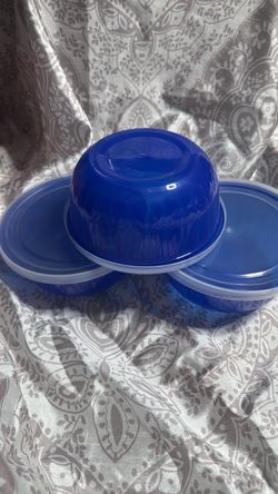 Blue Plastic Bowls with Lids – Set of 3