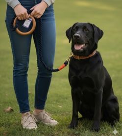 Top Paw Navy Blue 4ft Rope Dog Leash With Accessory Ring & Wood Handle