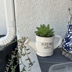 Flower Pot Cup With String Of Bananas And Haworthia
