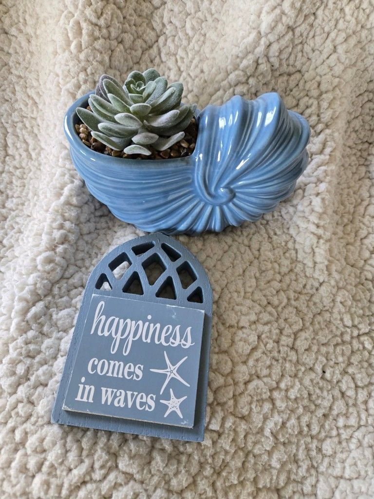 Beach Decor
