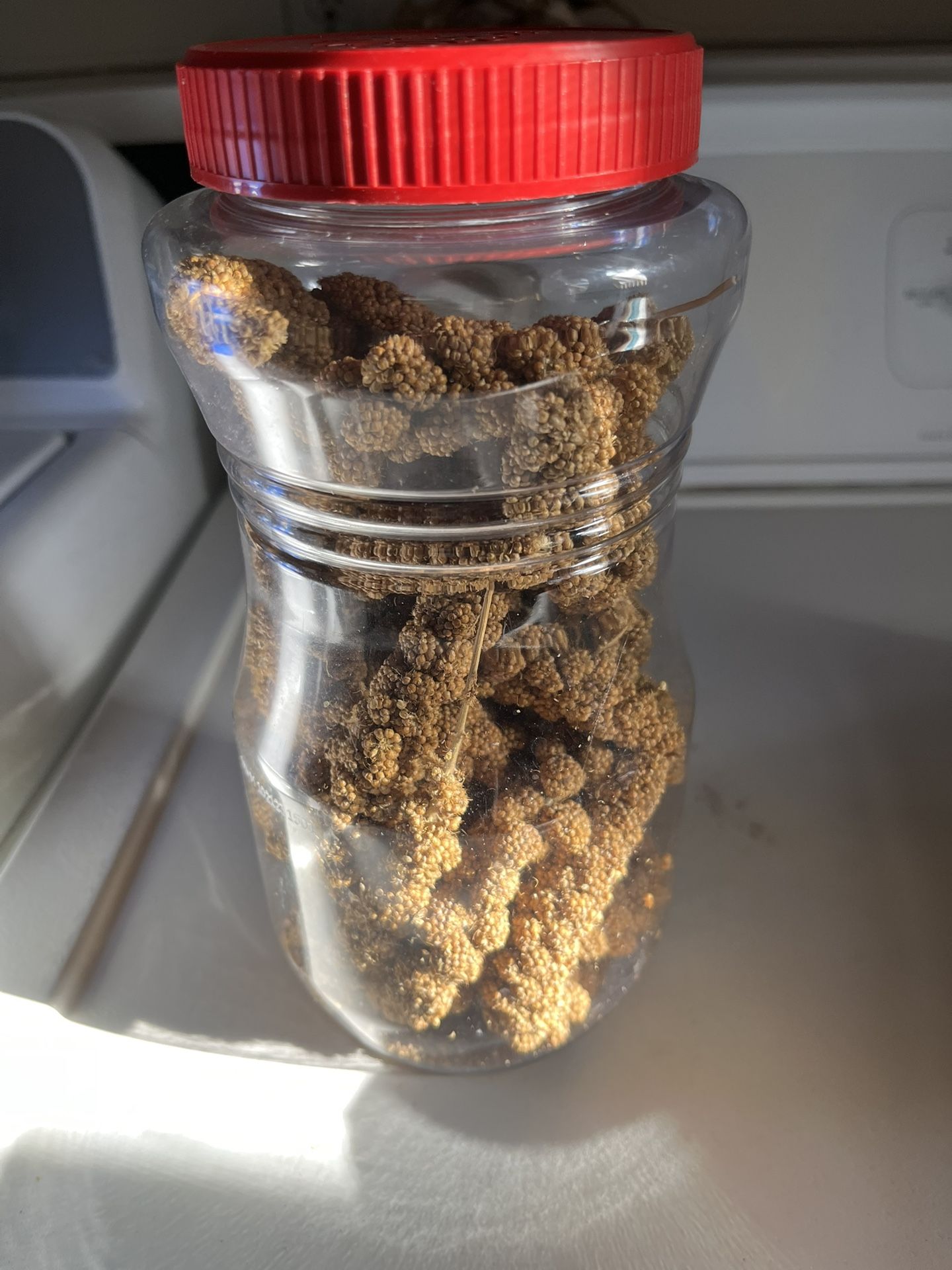 Snacks For A Parakeets