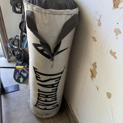 Punching Bag