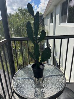 Fake plant cactus