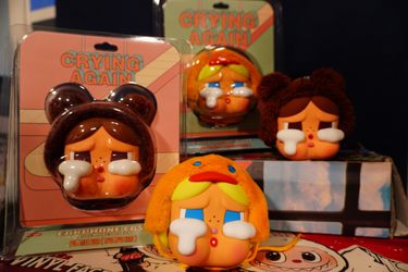 Crying Again Earphone Case