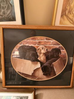Picture frames