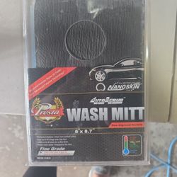 Wash Mitt