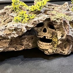 Aquarium Ornaments 