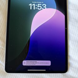 iPad Pro 256 GB 13” (M4) WiFi + Cellular 
