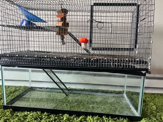Gerbilarium (glass tank with cage topper)