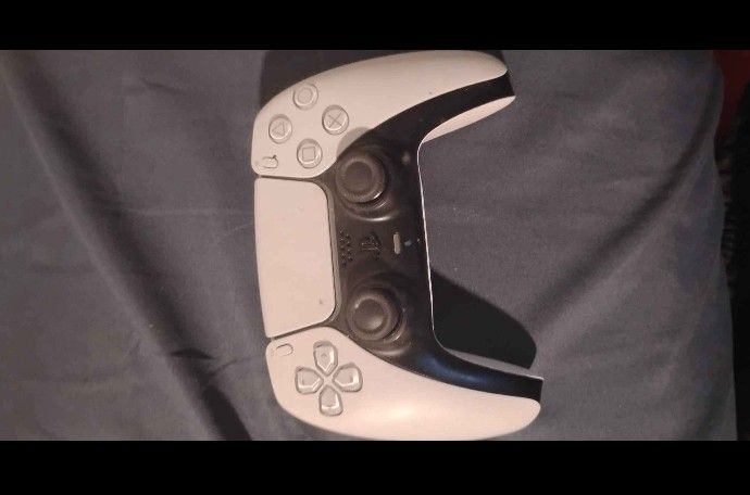 PS5 Dual Controller