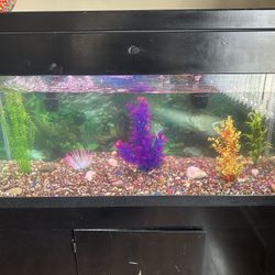 75 Gallon Fish Tank 