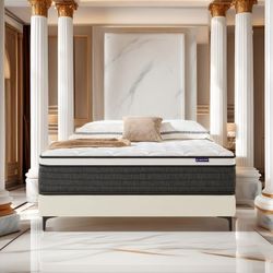 Queen mattress in the box