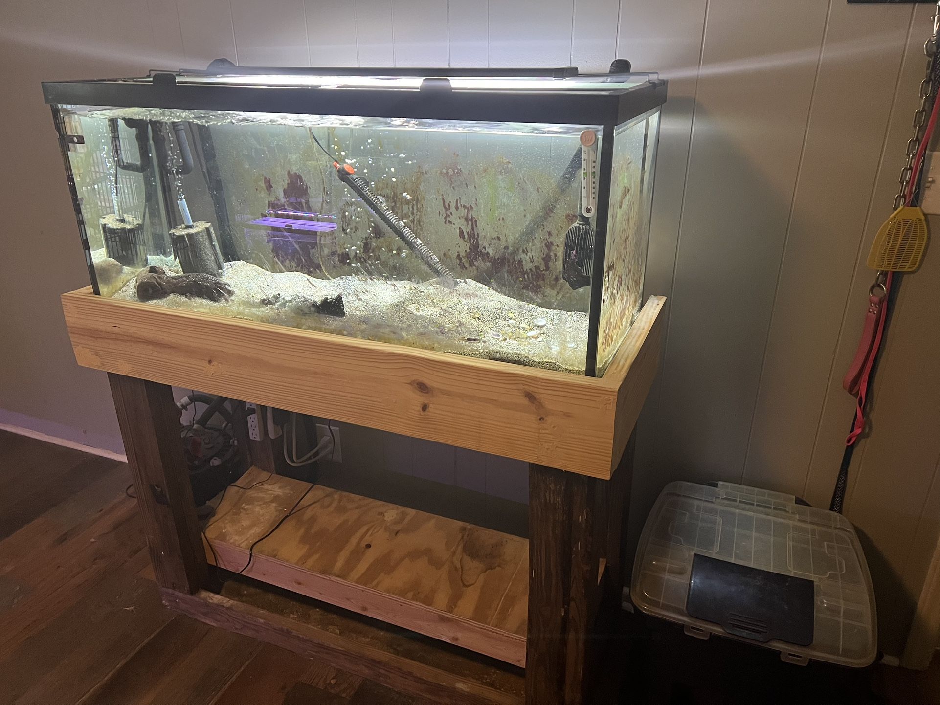 75g Aquarium