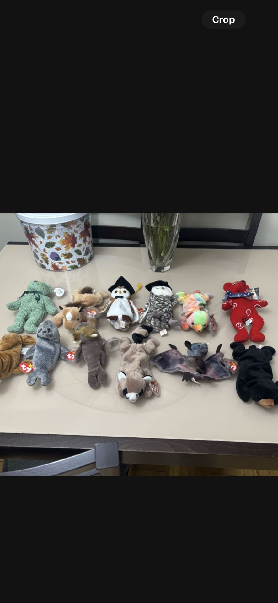 Vintage New Ty Beanie Babies