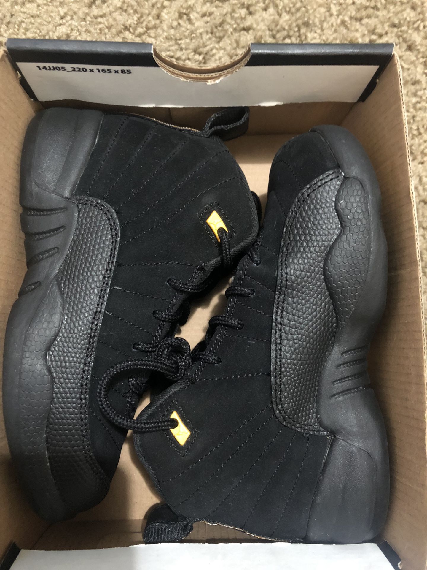 Retro Jordan 12 
