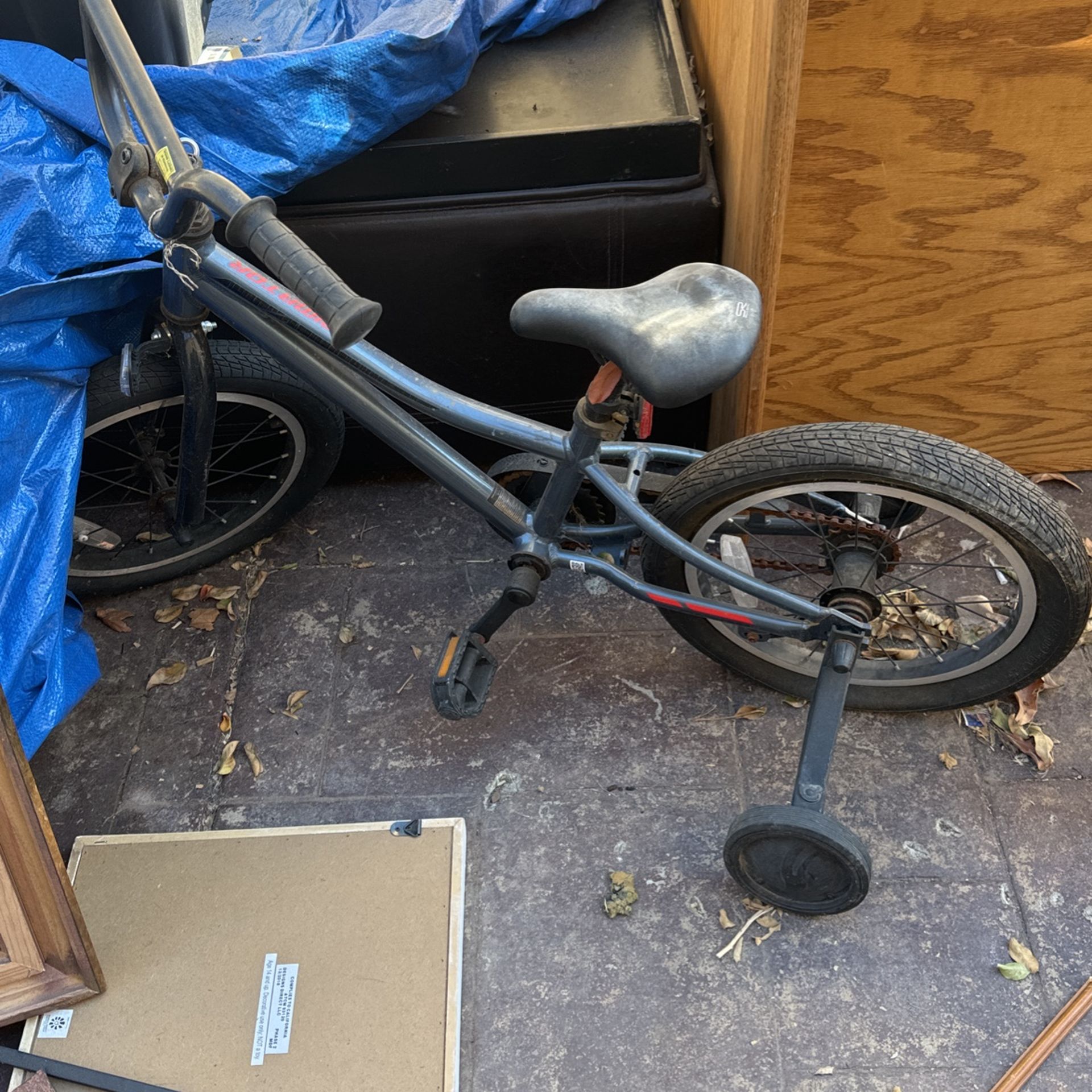 Bike Kids