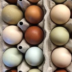 18 Farm Fresh Eggs