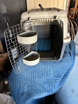 Dog kennels